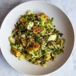 Warm shaved Brussels sprouts salad, roasted lentils, potato croutons, chopped pecans, and parsley in dressing, mixed and plated.