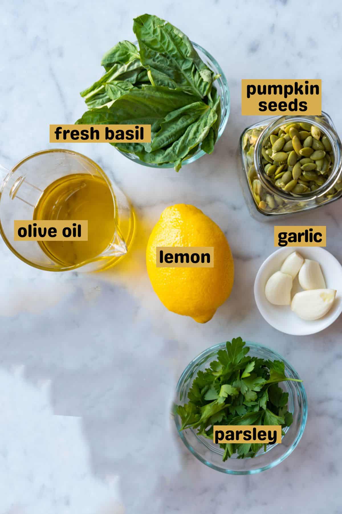 Pumpkin seeds, parsley leaves, lemon, four garlic cloves, olive oil, and fresh basil leaves in glass containers on white marble.