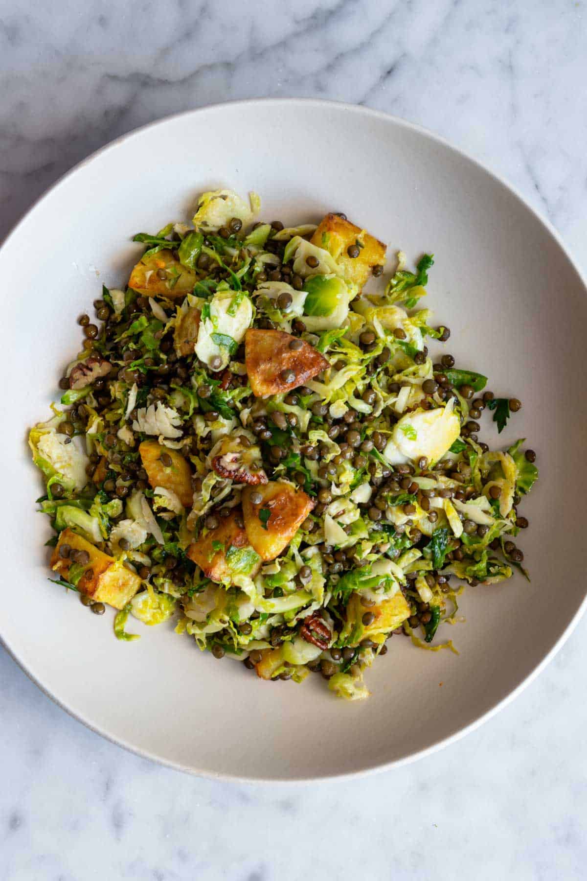 Warm shaved Brussels sprouts salad, roasted lentils, potato croutons, chopped pecans, and parsley in dressing, mixed and plated.