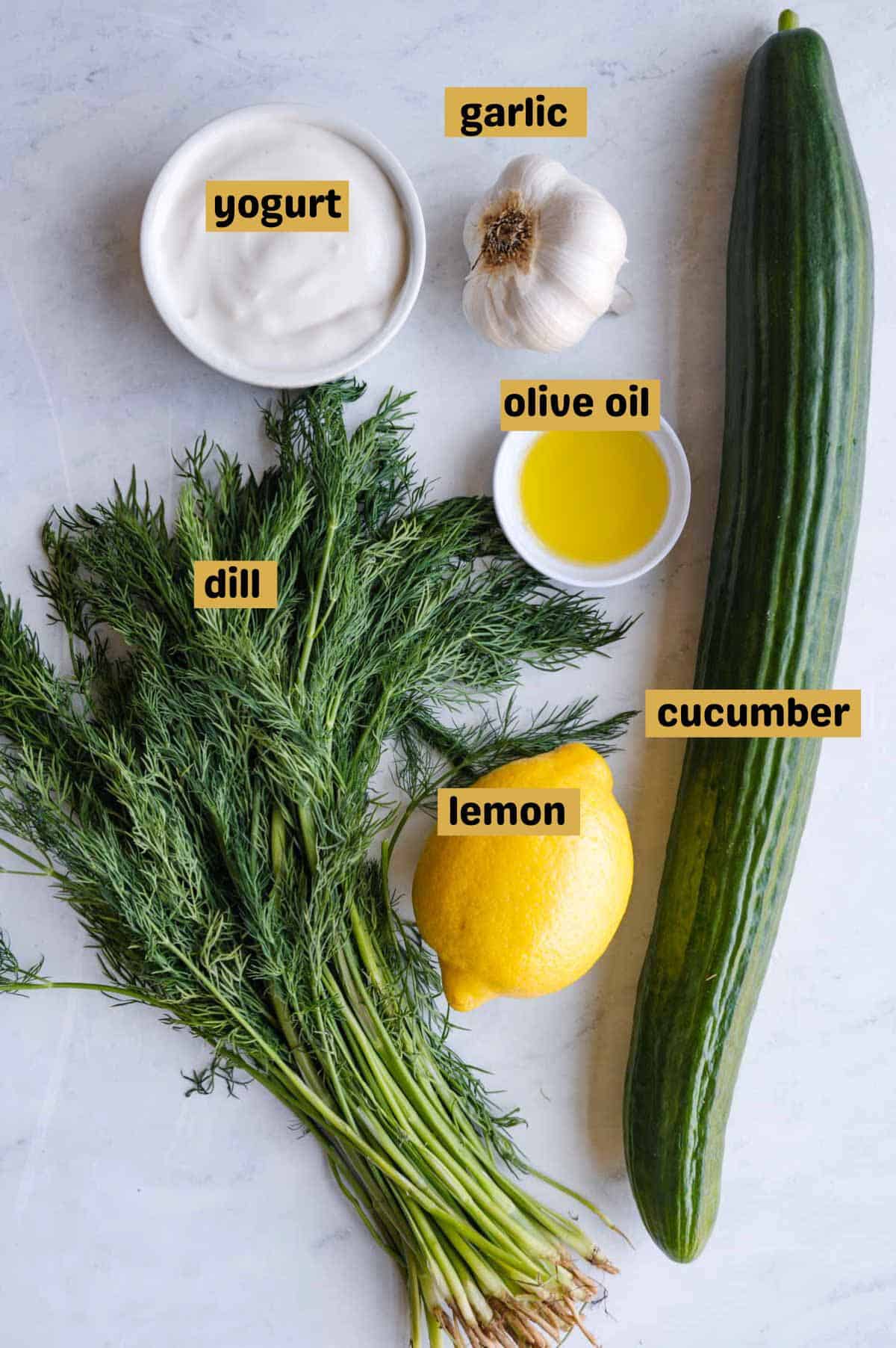 One cucumber, a bunch of dill, one lemon, a head of garlic, yogurt, and olive oil on a gray backdrop.