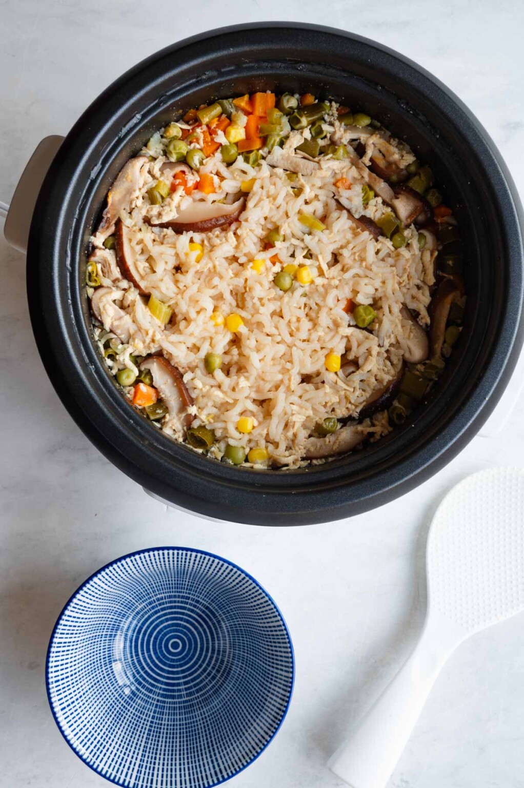 OnePot Rice Cooker Tofu Fried Rice Cooking For Peanuts