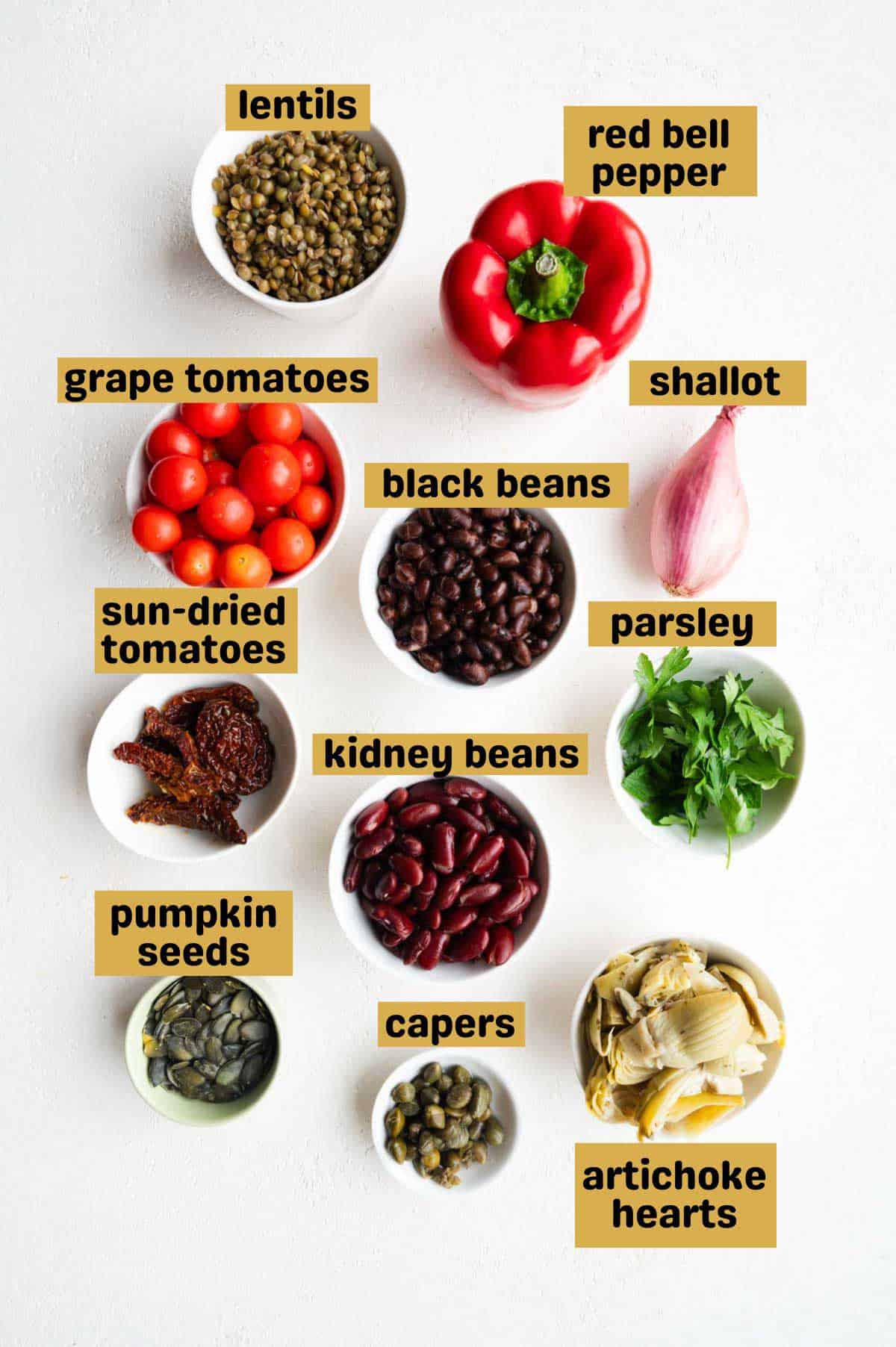 Lentils, red bell pepper, capers, pumpkin seeds, black beans, tomatoes, artichoke hearts, sun-dried tomatoes, shallot, parsley, and kidney beans on a gray backdrop.