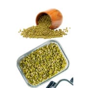 Dried mung beans in a wooden jar and sprouted mung beans in a glass storage container.