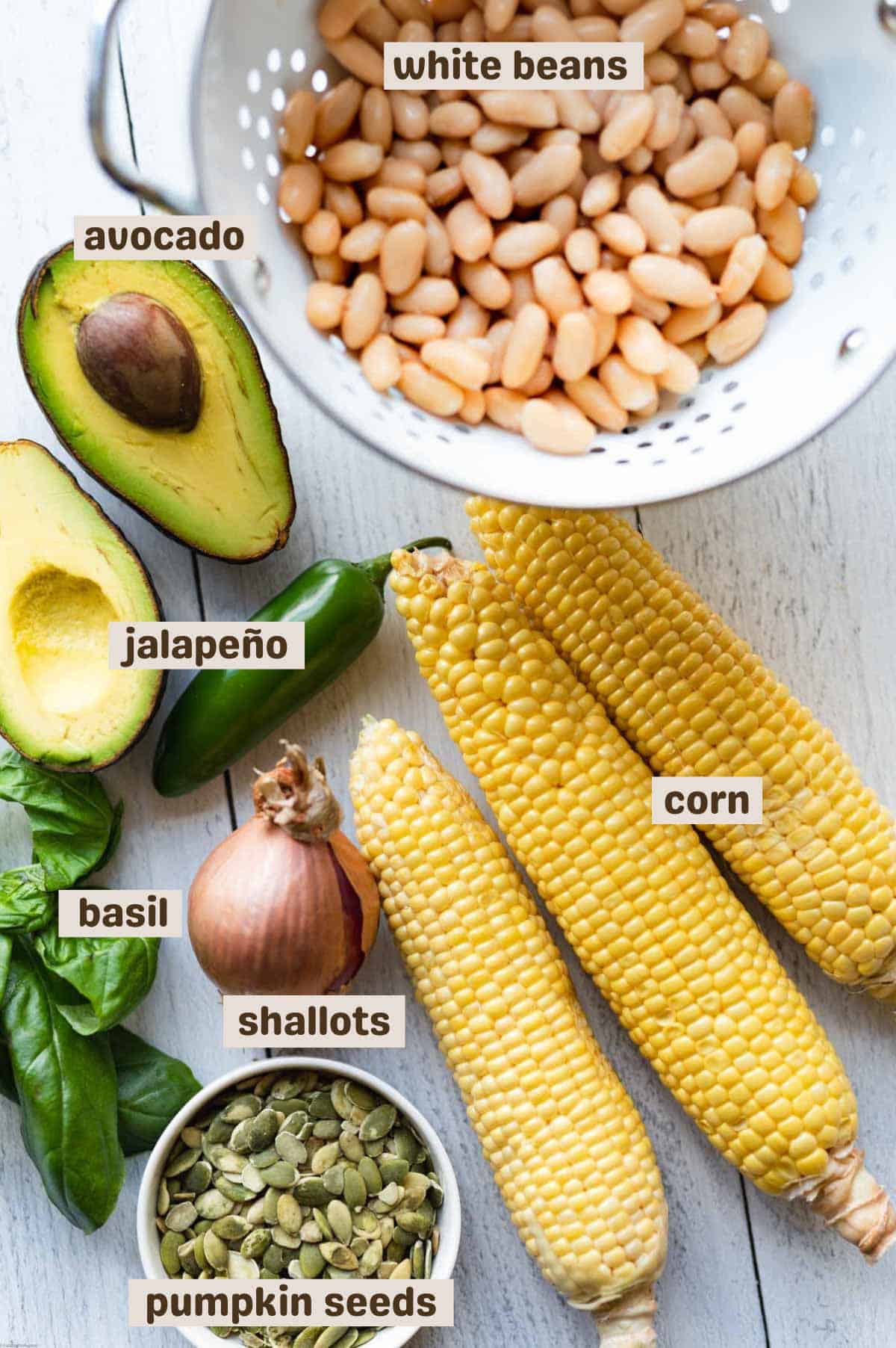 White beans, avocado, corn, pumpkin seeds, basil, shallots, and jalapeño.