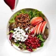 Vegan feta, spring greens mix, sliced apple, cranberry balsamic dressing, and chopped pecans.