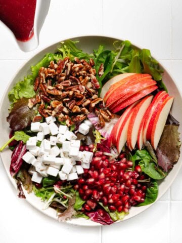 Vegan feta, spring greens mix, sliced apple, cranberry balsamic dressing, and chopped pecans.