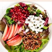 Vegan feta, spring greens mix, sliced apple, cranberry balsamic dressing, and chopped pecans.