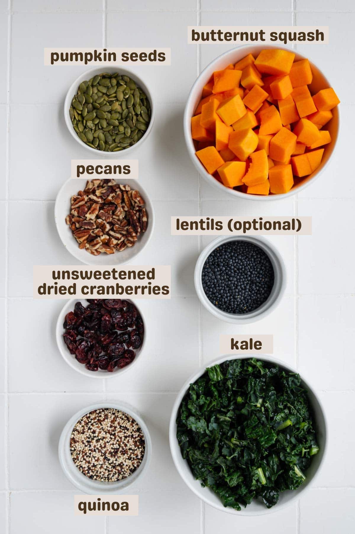 Pumpkin seeds, butternut squash, quinoa, kale, lentils, dried cranberries, and pecans.