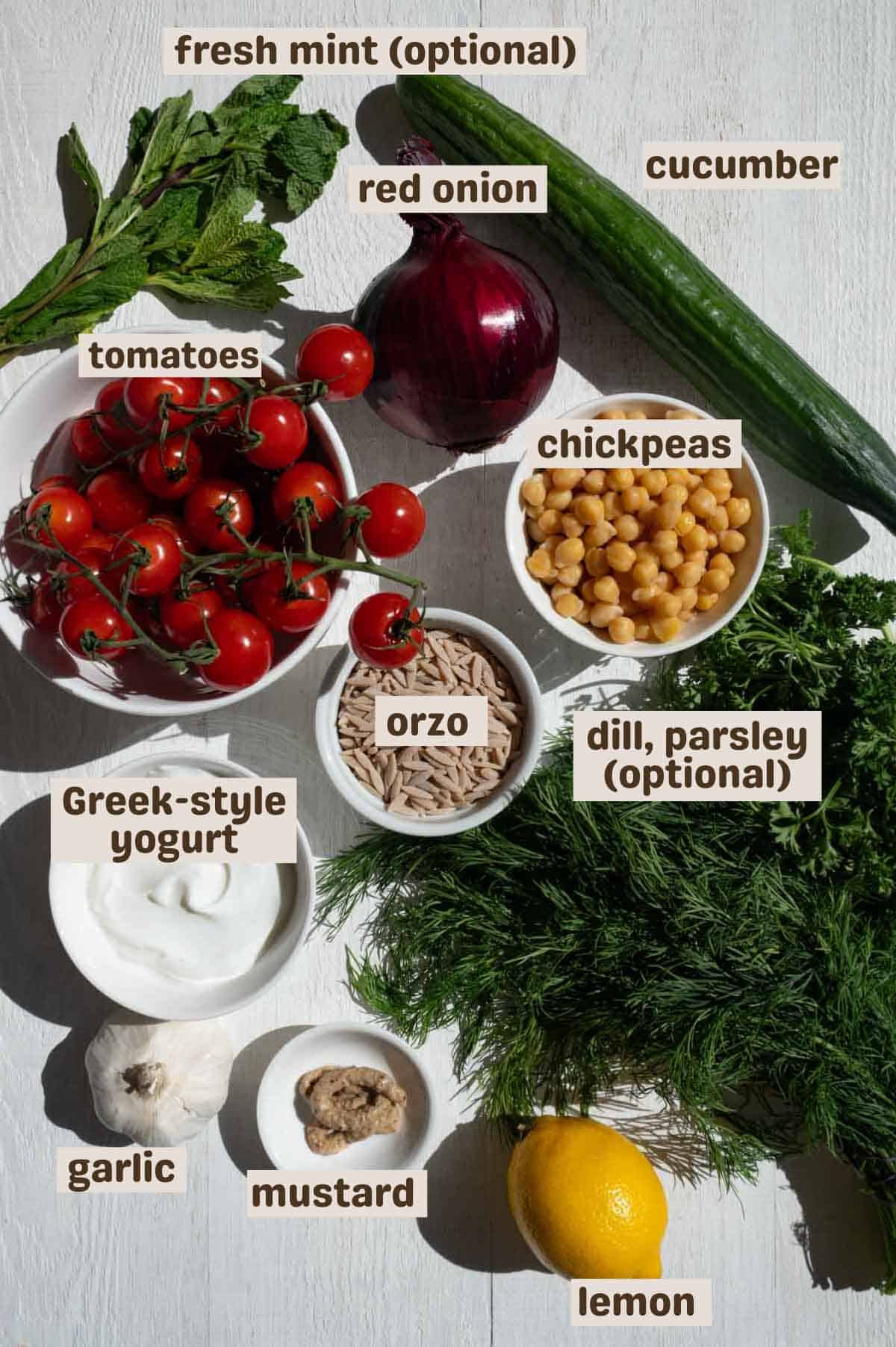Mint, red onion, cucumber, chickpeas, orzo, tomatoes, yogurt, mustard, lemon, dill, parsley, and garlic.
