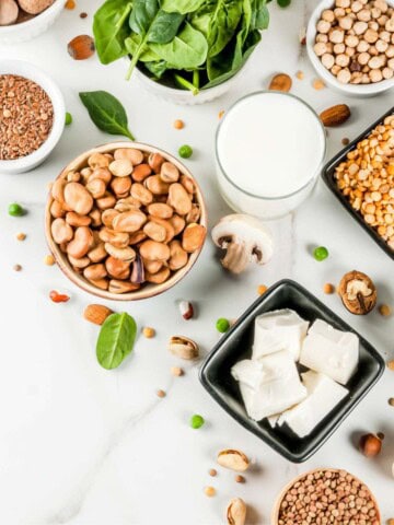 Vegan protein sources showing tofu, nuts, beans, seeds, and mushrooms.