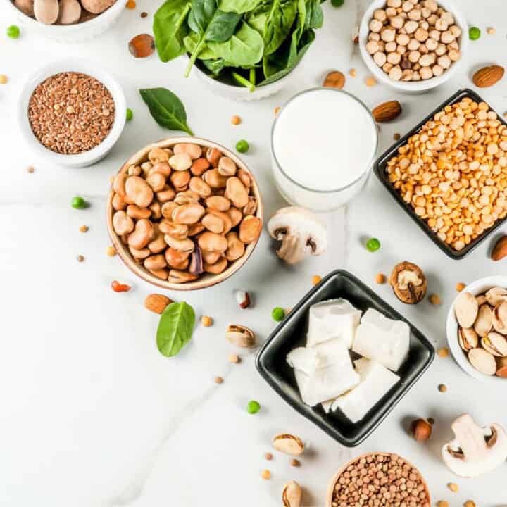 Vegan protein sources showing tofu, nuts, beans, seeds, and mushrooms.