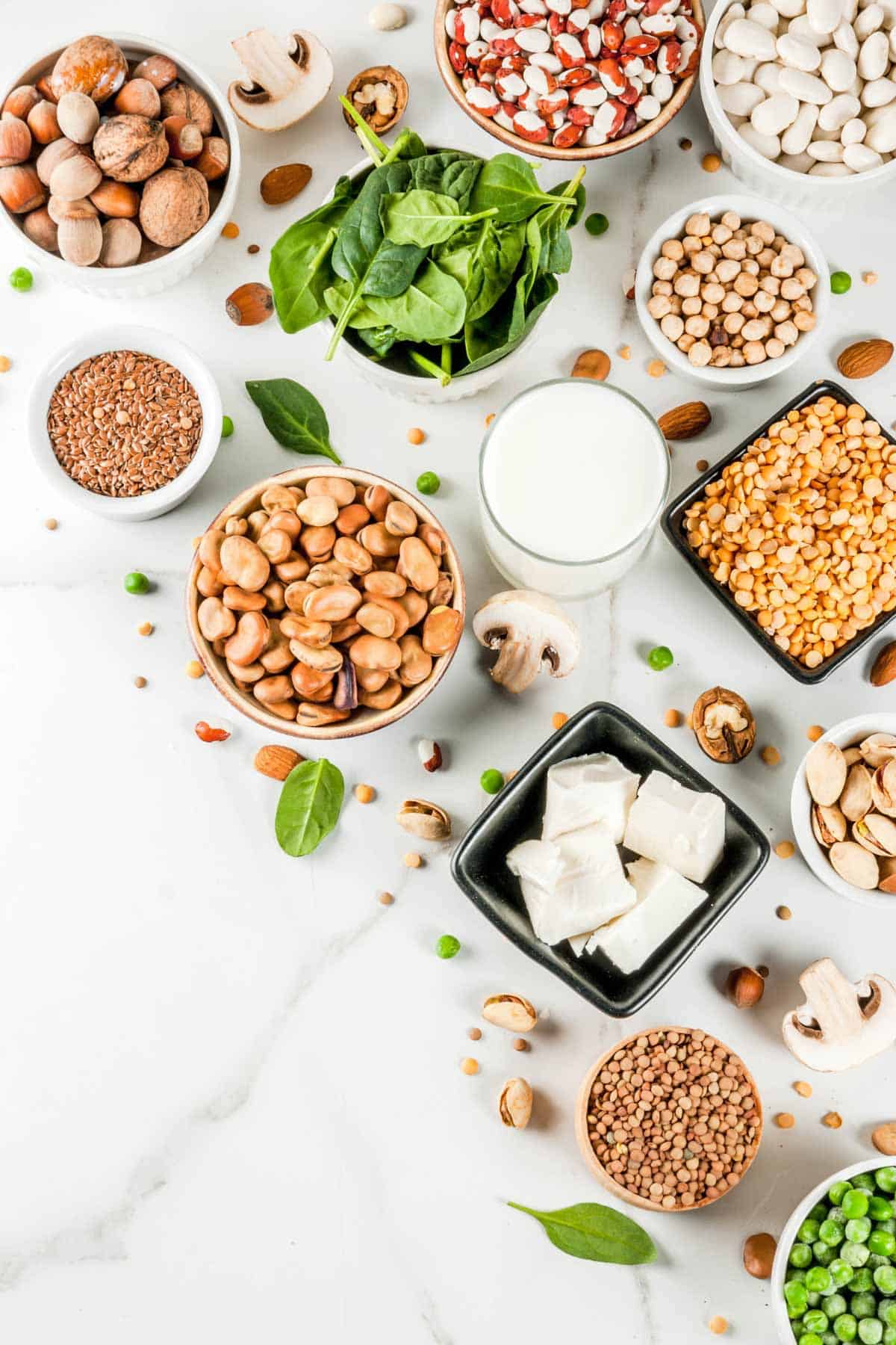 Vegan protein sources showing tofu, nuts, beans, seeds, and mushrooms.
