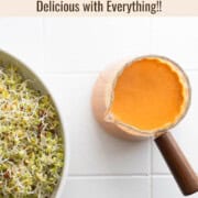 Sun-dried tomato dressing served with sprouts.