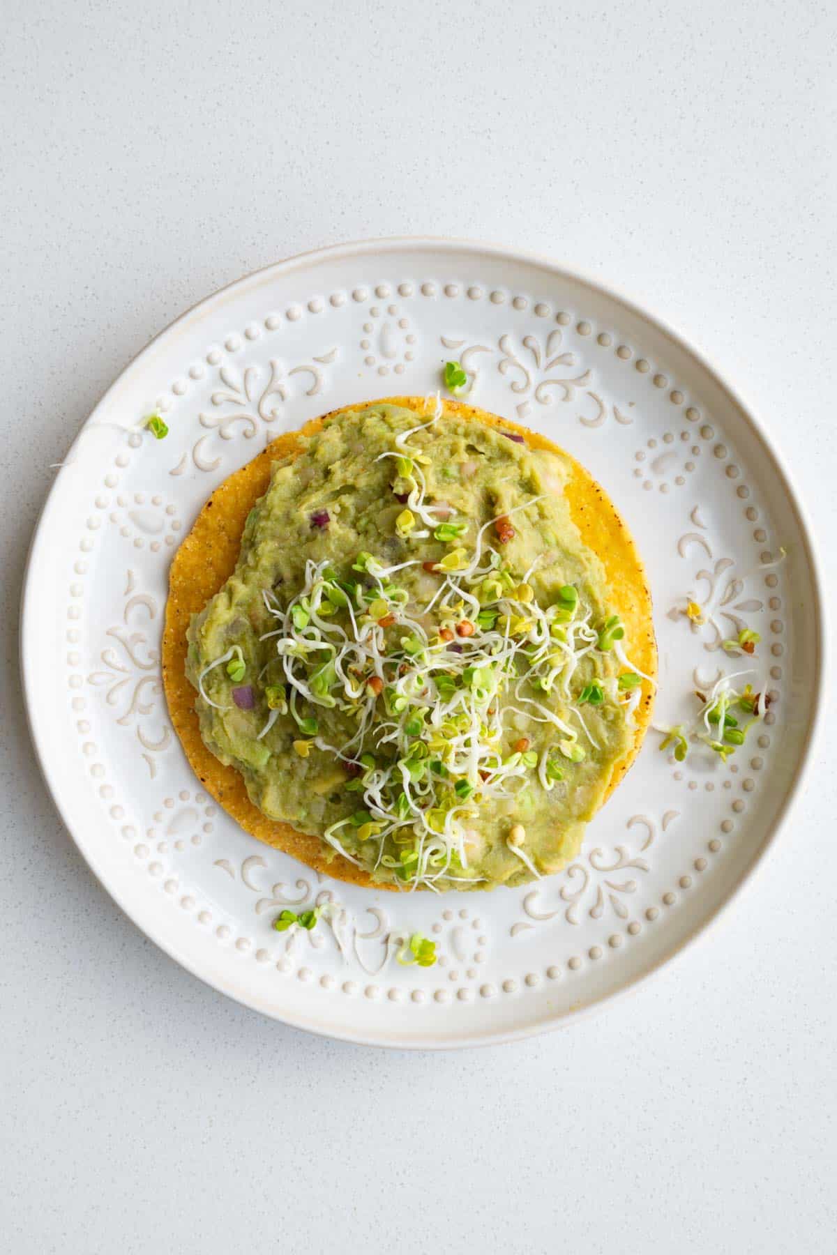 White bean mash with avocado on a tostada topped with sprouts.