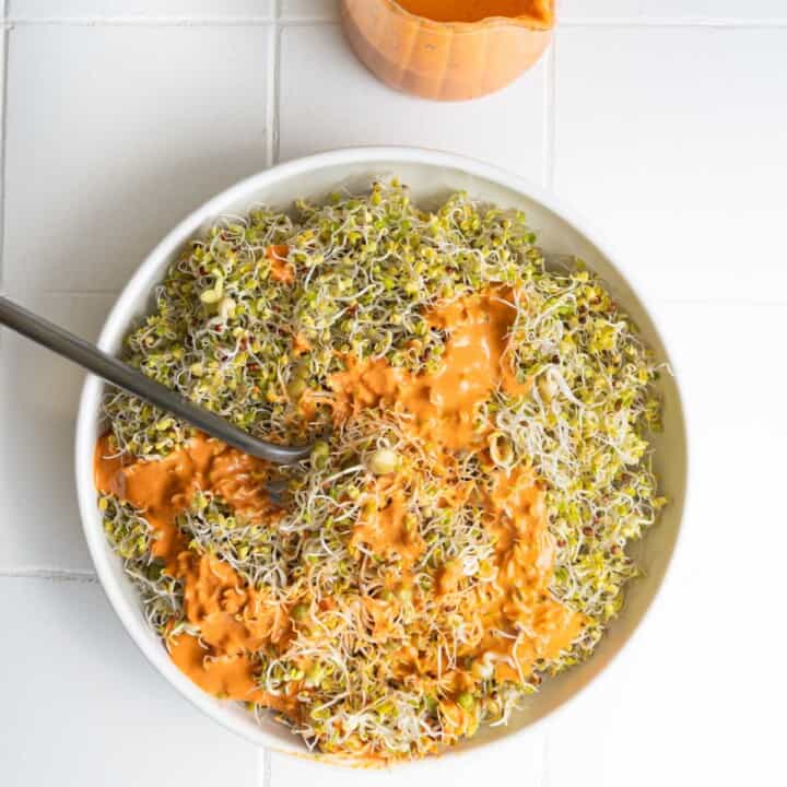 How to sprout seeds for food showing broccoli sprouts with creamy sun-dried tomato dressing.
