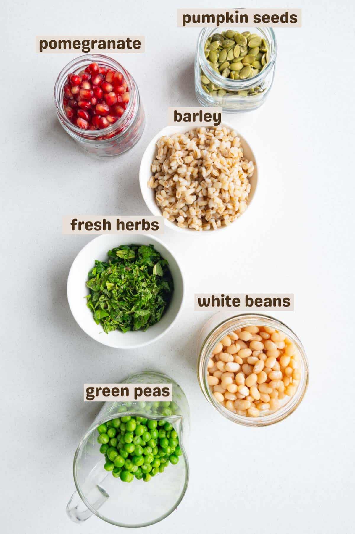 Pumpkin seeds, green peas, white beans, fresh herbs, hulless barley, and pomegranate.