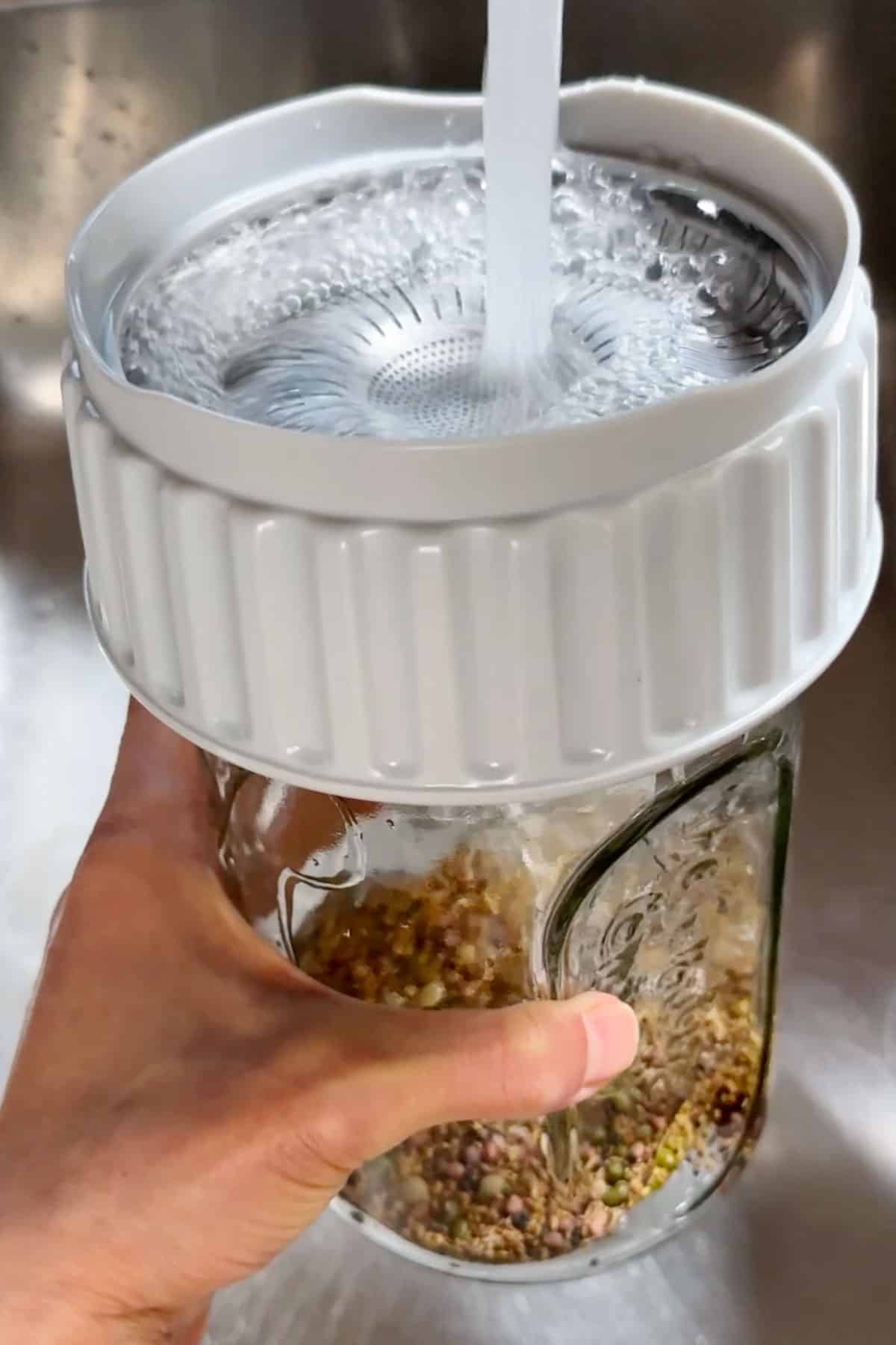 Rinsing the sprouts in the jar with water.