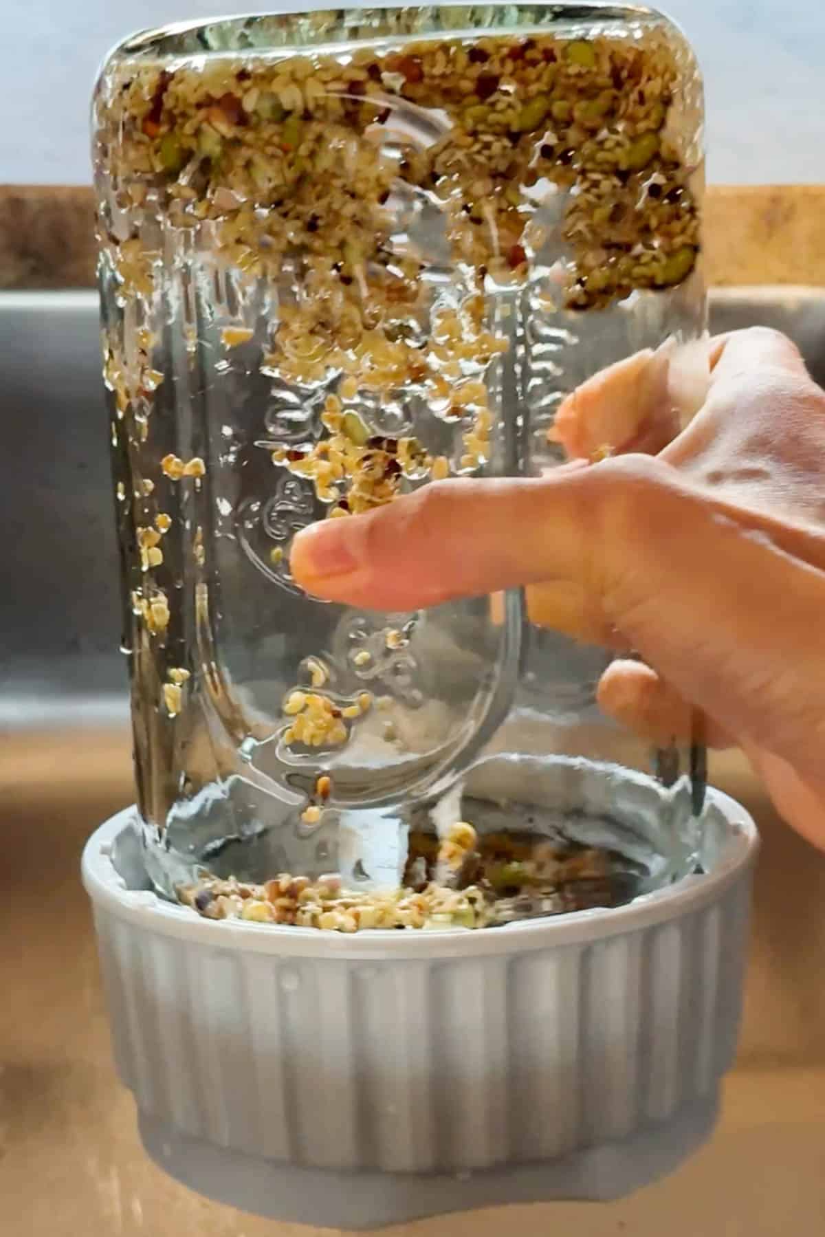 Draining the water from the seeds after rinsing.