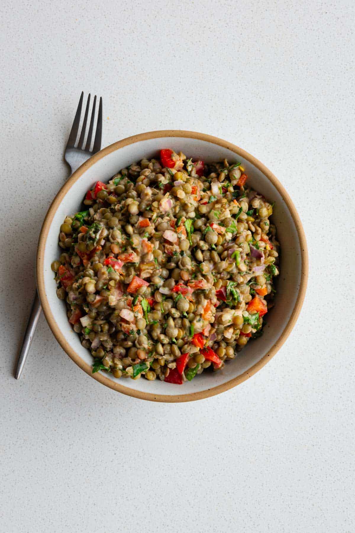 Lentil salad in a bowl with a fork.