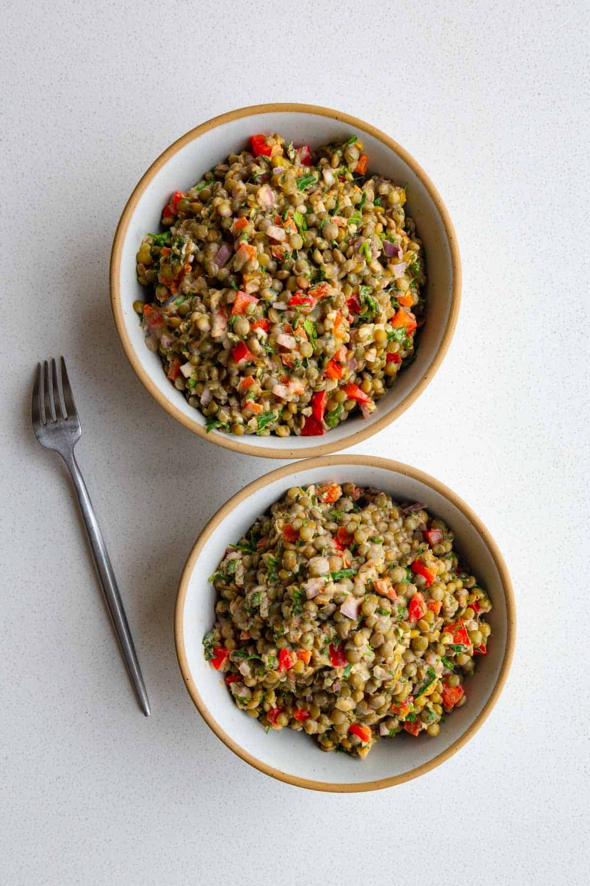 Lentils salad in two bowls with a fork.