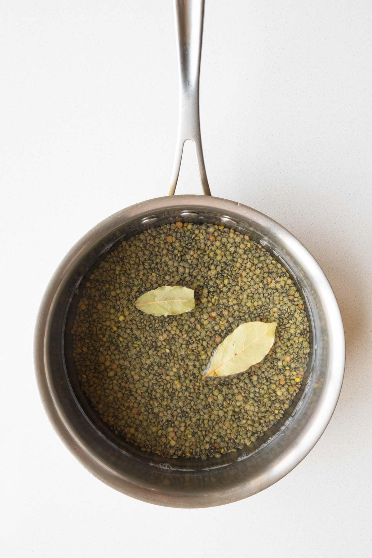 French lentils in a saucepan with water and a two bay leaves.