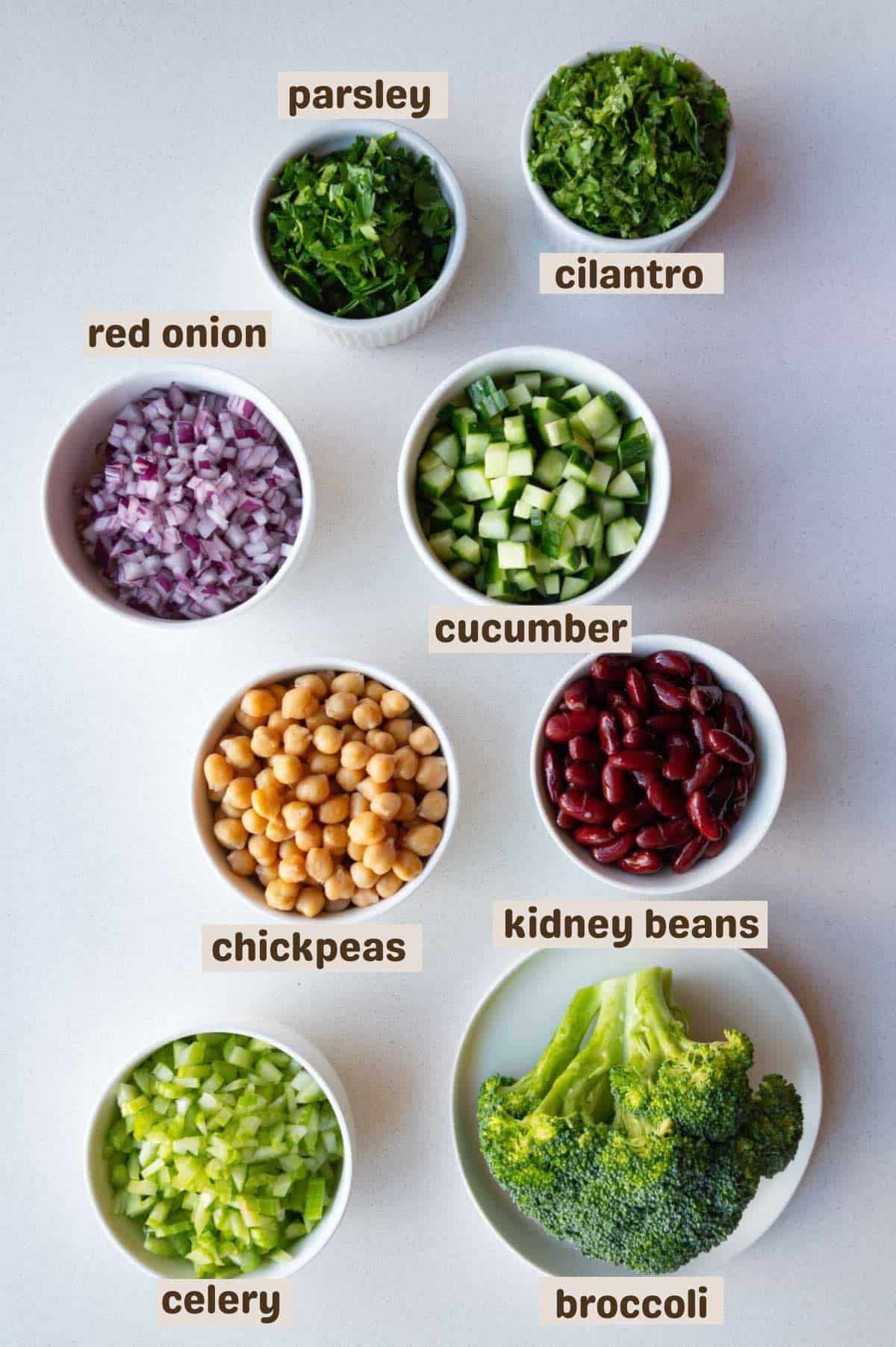 Parsley, cilantro, red onion, cucumber, chickpeas, kidney beans, celery, and broccoli.