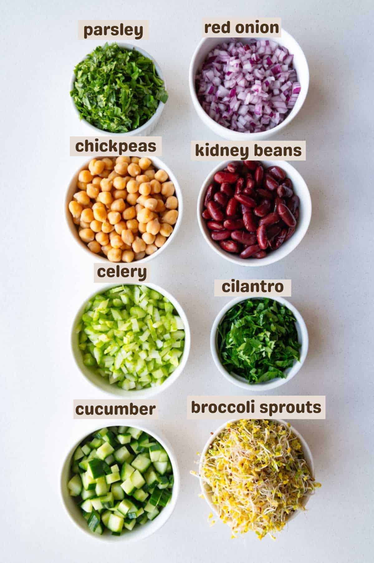 Broccoli sprouts, red onion, cucumber, chickpeas, red kidney beans, parsley, and coriander.