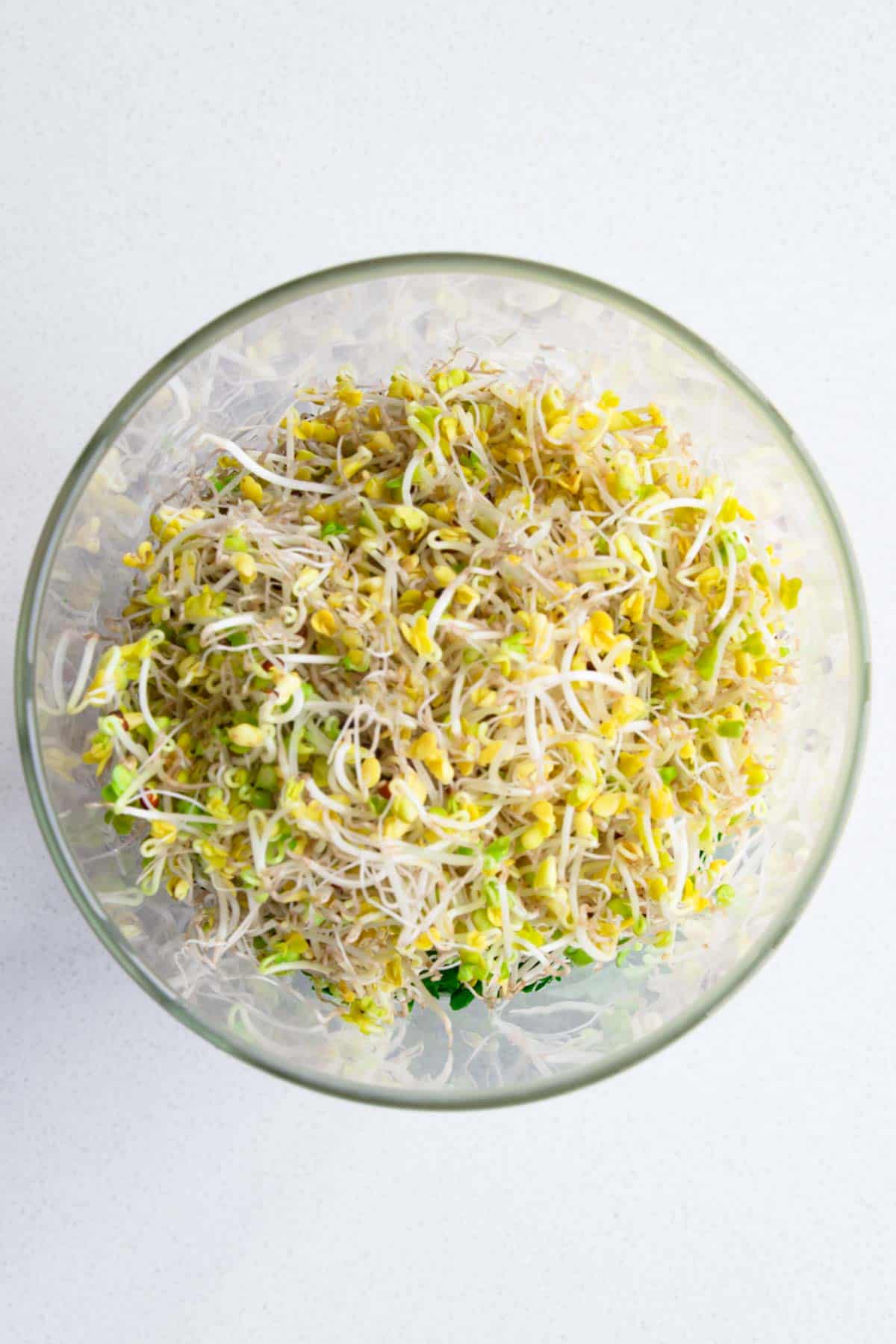 Sprouts in a glass salad jar.