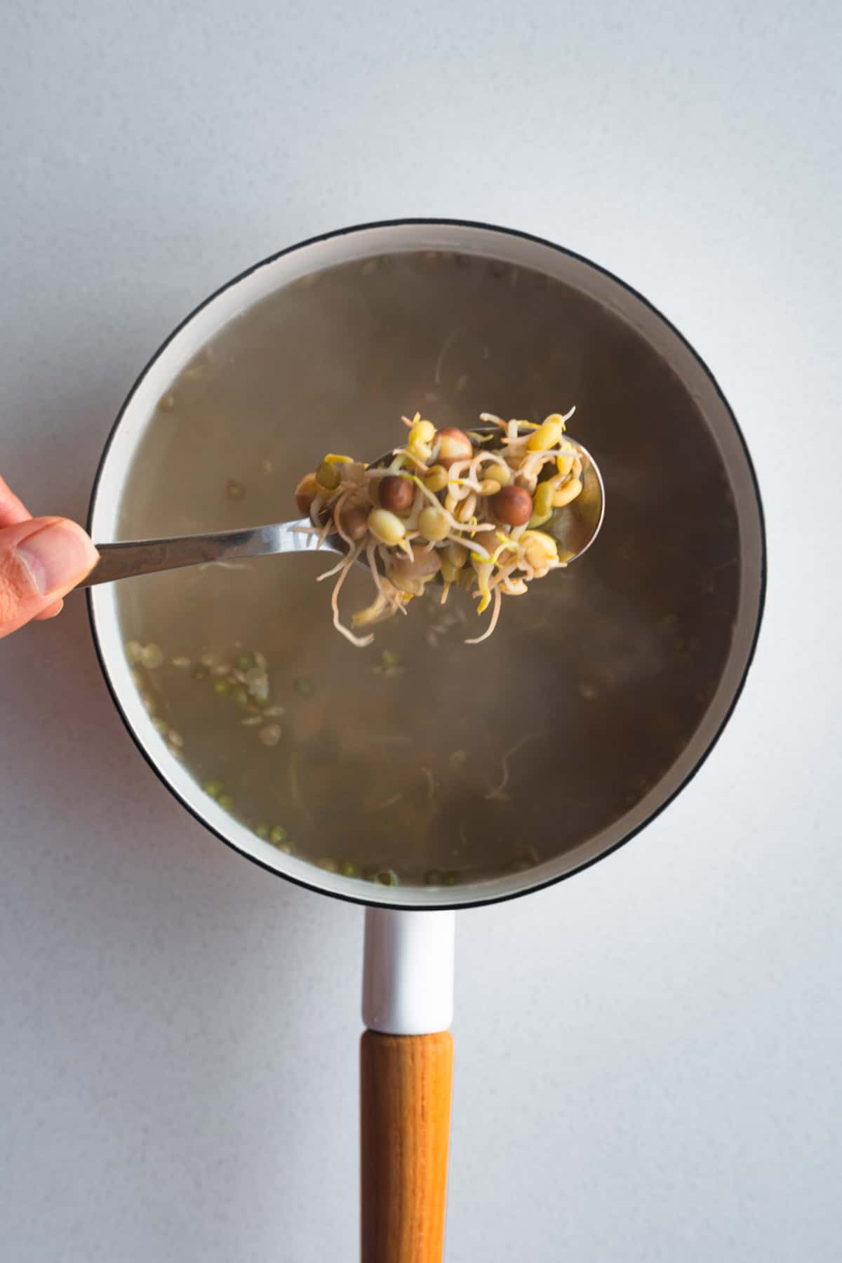 Cooked legume sprouts simmering in a saucepan.