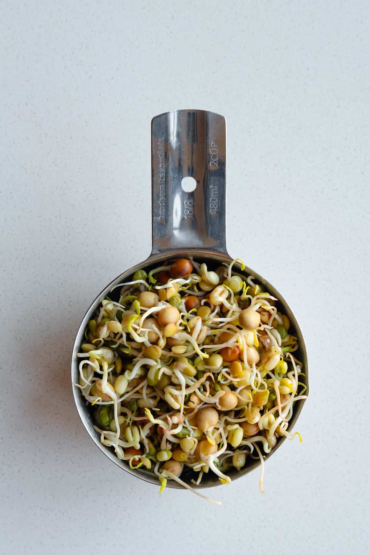 Sprouted legumes (Protein Mix) in a measuring cup.